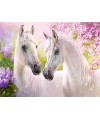 104147 - Puzzle caballos románticos, 1000 piezas, Castorland