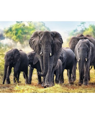 10442 - Puzzle elefantes africanos, 1000 piezas, Trefl