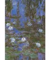 69641 - Puzzle Nenúfares, Monet, 1000 piezas, D-Toys