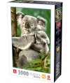 76816 - Puzzle Koala, 1000 piezas, Deico Games